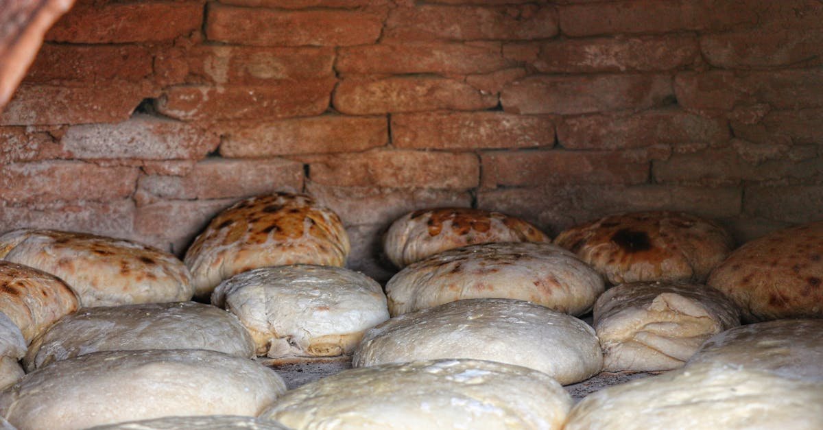 From Firebricks to Fresh Loaves: A Step-by-Step Guide to Your DIY Wood-Fired Bread Oven