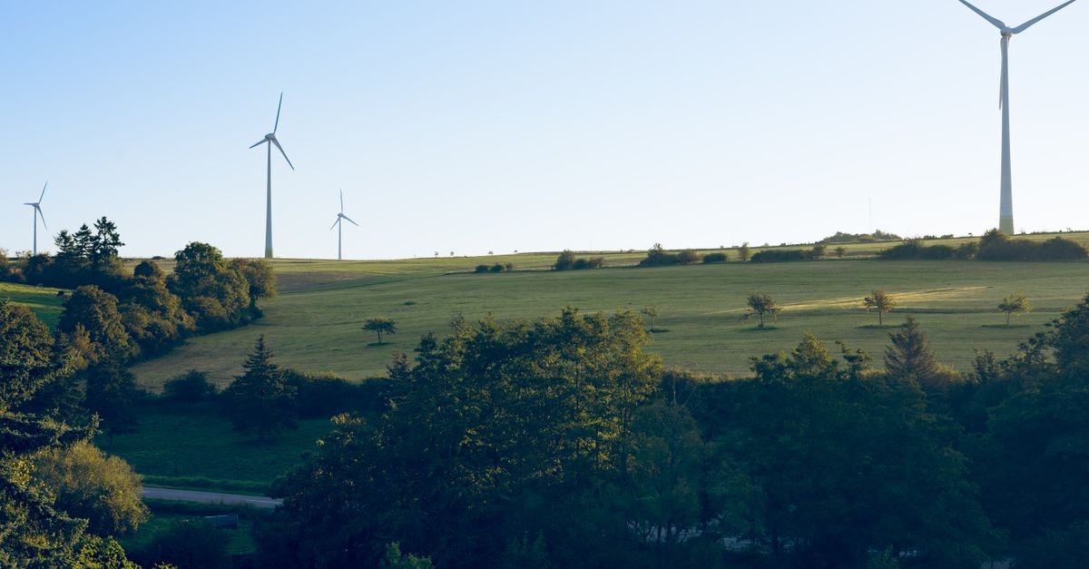 From Fossil to Future: How Renewables Are Reshaping the Energy Sector