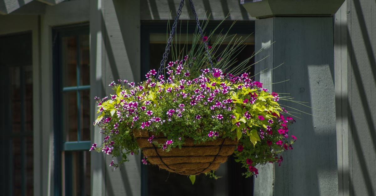 From Bare Rails to Blooming Haven: Inspiring Railing Planter Ideas for Your Balcony