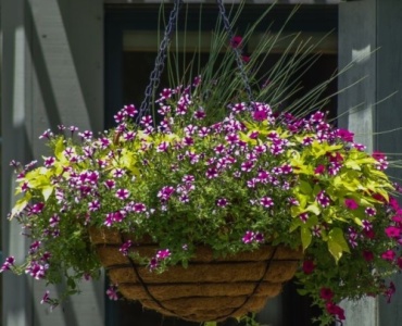 From Bare Rails to Blooming Haven: Inspiring Railing Planter Ideas for Your Balcony