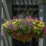 From Bare Rails to Blooming Haven: Inspiring Railing Planter Ideas for Your Balcony