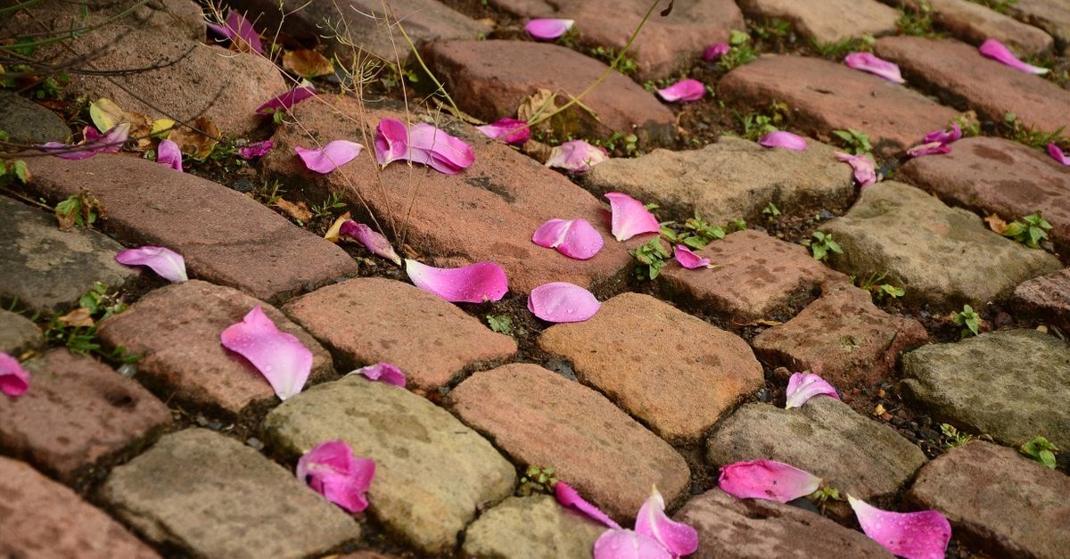 Pave the Way: Inspiring Hand-Formed Brick Walkways for a Storybook Garden