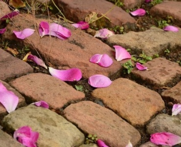 Pave the Way: Inspiring Hand-Formed Brick Walkways for a Storybook Garden