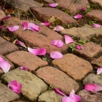 Pave the Way: Inspiring Hand-Formed Brick Walkways for a Storybook Garden