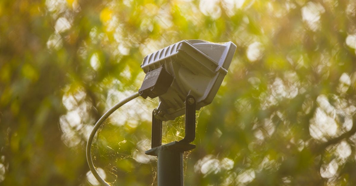From Trunk to Treetop: 15 Stunning Solar Spotlight Tricks to Make Your Garden Glow