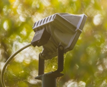 From Trunk to Treetop: 15 Stunning Solar Spotlight Tricks to Make Your Garden Glow