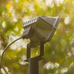 From Trunk to Treetop: 15 Stunning Solar Spotlight Tricks to Make Your Garden Glow