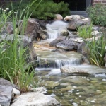 Tiny Tranquility: Crafting a Lush, Pump-Free Garden Pond the Natural Way