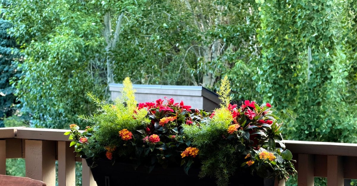 Spring Balcony in Bloom: A Colorful, Easy Flower Planting Guide