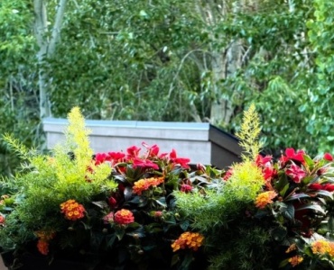 Spring Balcony in Bloom: A Colorful, Easy Flower Planting Guide