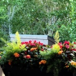 Spring Balcony in Bloom: A Colorful, Easy Flower Planting Guide