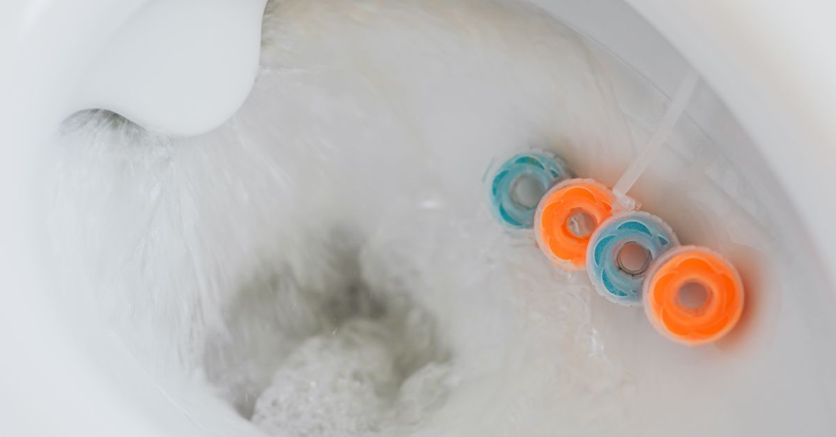 From Roof to Flush: Save Water and Cut Costs with a Rain-Fed Toilet System