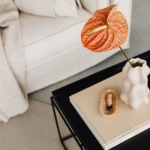 Design with Intention: Crafting Interiors That Feel Good and Do Good